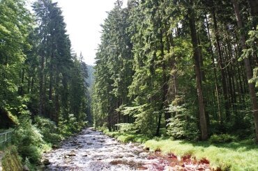 Array, Quelle: Panorama Berghotel Wettiner Höhe