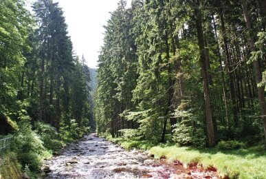 Array, Quelle: Panorama Berghotel Wettiner Höhe