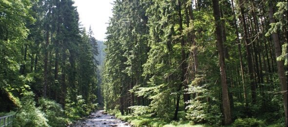 Spartage, Quelle: Panorama Berghotel Wettiner Höhe
