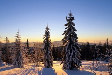 Array, Quelle: Panorama Berghotel Wettiner Höhe