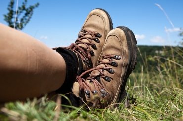 Array, Quelle: Panorama Berghotel Wettiner Höhe