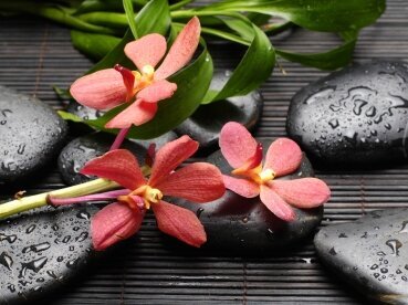 Array, Quelle: Panorama Berghotel Wettiner Höhe