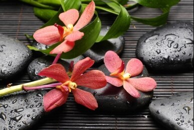 Array, Quelle: Panorama Berghotel Wettiner Höhe