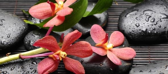 Wellness, Quelle: Panorama Berghotel Wettiner Höhe