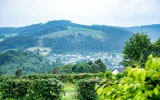 Panorama Hotel Winterberg - Hotel-Außenansicht