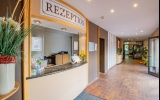 Rezeption