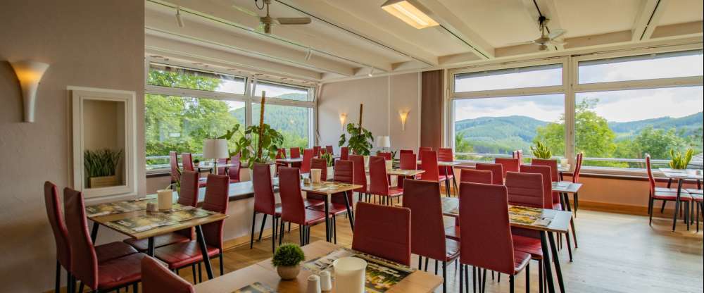 Panorama Hotel Winterberg - Restaurant