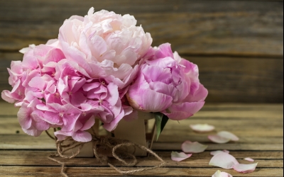 Panorama Hotel Winterberg - Sonstiges