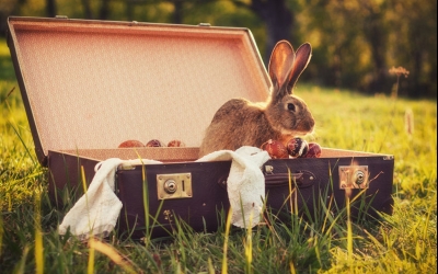 Panorama Hotel Winterberg - Sonstiges