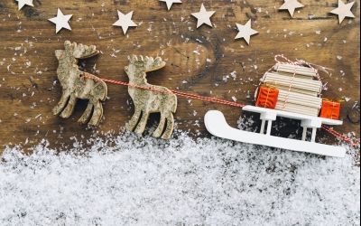 Panorama Hotel Winterberg - Sonstiges