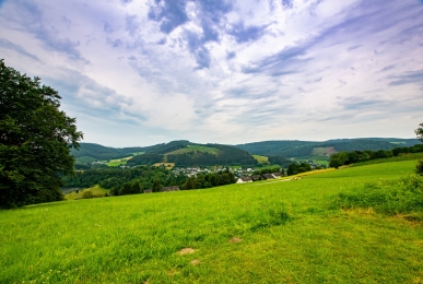 Array, Quelle: Panorama Hotel Winterberg