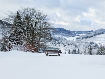 Array, Quelle: Panorama Ferien Hotel Winterberg