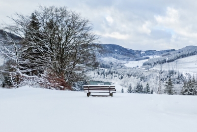 Array, Quelle: Panorama Hotel Winterberg