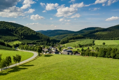 Array, Quelle: Panorama Hotel Winterberg