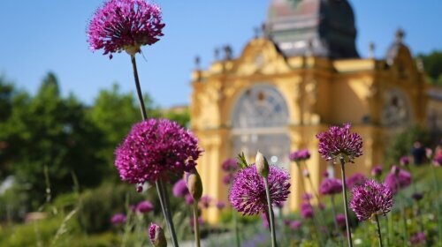 Kolonnade in Marienbad