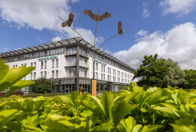 Array, Quelle: Parkhotel Rügen