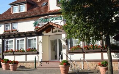 Parkhotel zum Stern - Hotel-Außenansicht