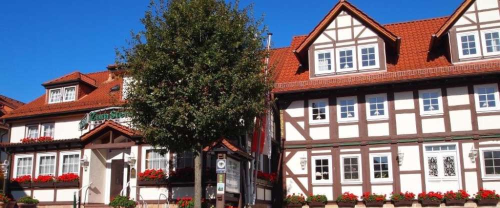 Parkhotel zum Stern - Hotel-Außenansicht