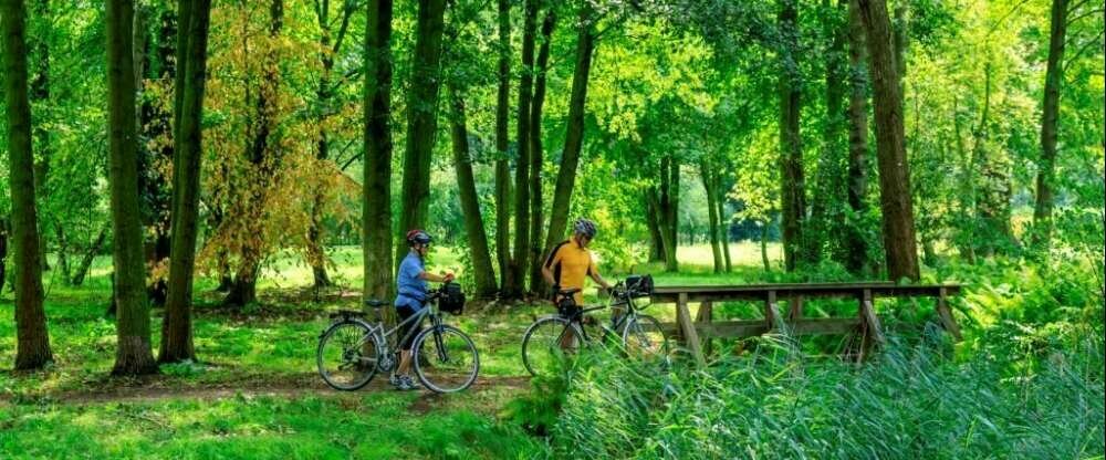 Parkpension Spreewald - Umgebung