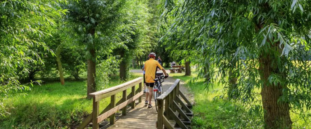 Parkpension Spreewald - Umgebung