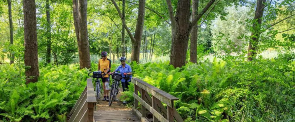 Parkpension Spreewald - Umgebung