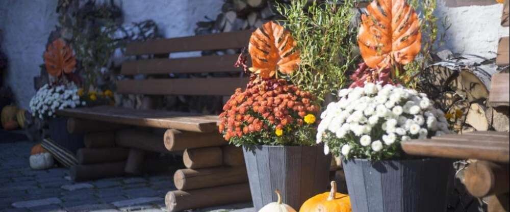 Pension Burg Wildstein - Hotel-Außenansicht