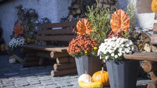 Pension Burg Wildstein - Hotel-Außenansicht