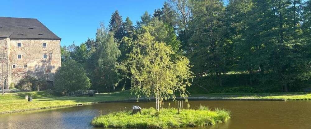 Pension Burg Wildstein - Hotel-Außenansicht