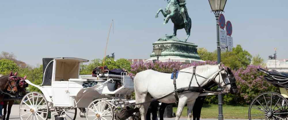 Pension Central - Kutschfahrt