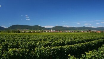 Pfalz Urlaub