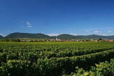 Pfalz Urlaub, Quelle: Hotel Schloss Edesheim