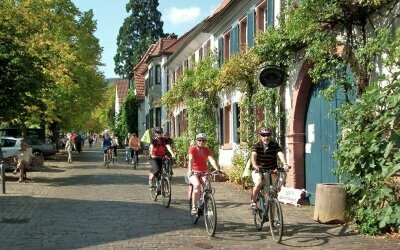 Pfalz Urlaub mit Rad