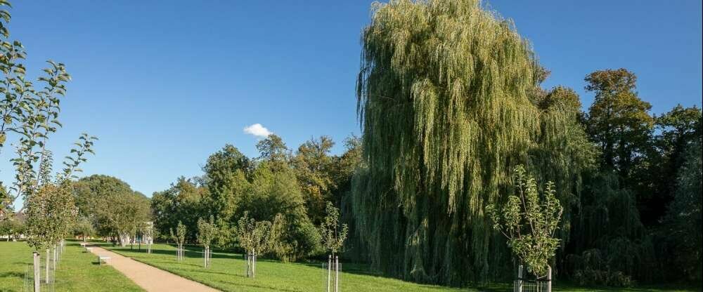 Pytloun Schlosshotel Ctenice - Umgebung