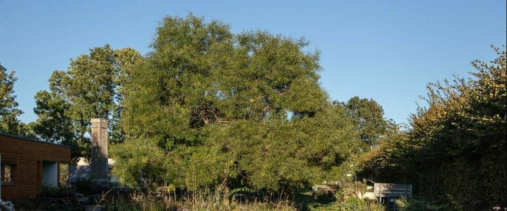 Pytloun Schlosshotel Ctenice - Umgebung