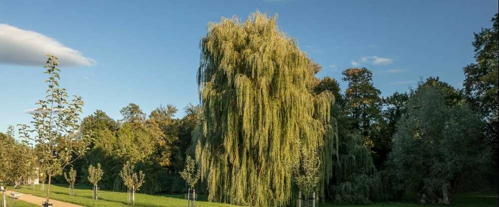 Pytloun Schlosshotel Ctenice - Umgebung