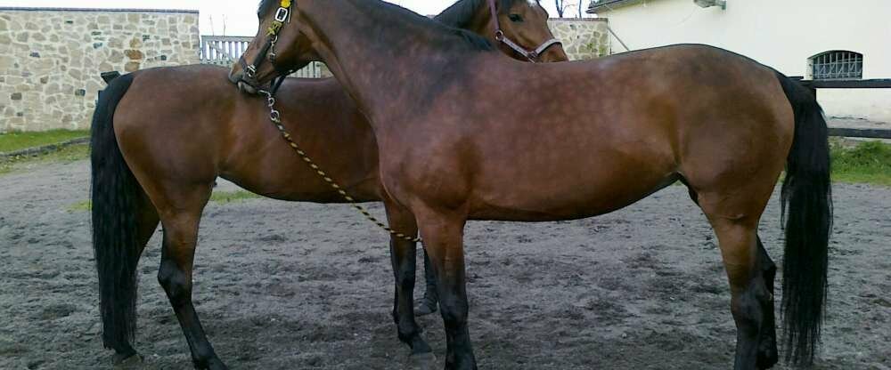 Pytloun Schlosshotel Ctenice - Umgebung