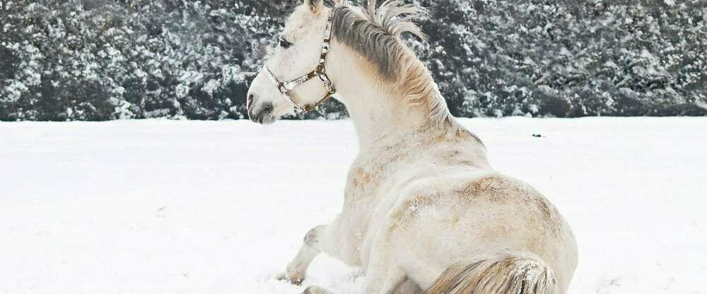 Pytloun Schlosshotel Ctenice - Umgebung