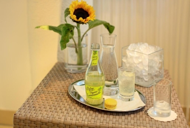 Array, Quelle: Pytloun Schlosshotel Weikersdorf
