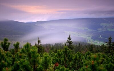 Pytloun Wellness Hotel Harrachov - Sonstiges