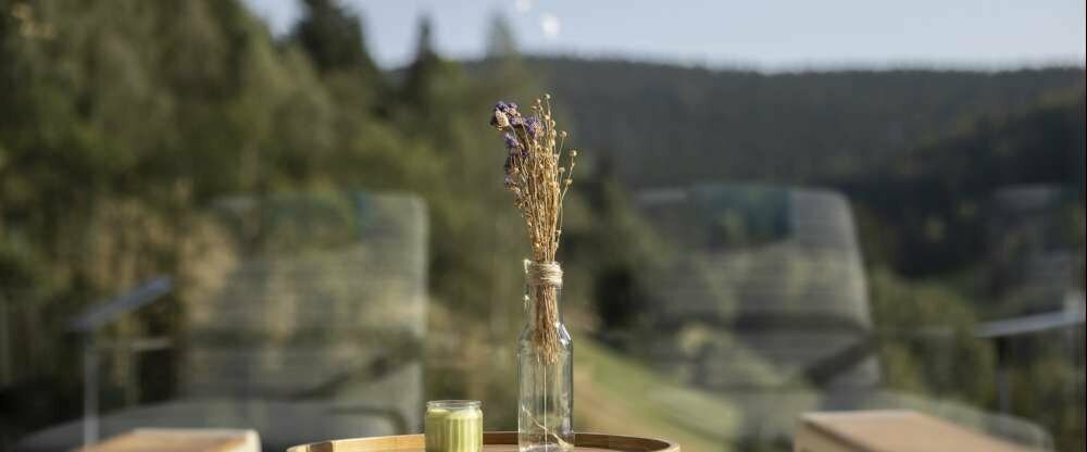 Pytloun Wellness Hotel Harrachov - Terrasse/Außenbereich