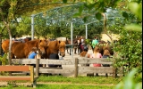 Reiter- und Erlebnisbauernhof Groß Briesen  - Hotel-Außenansicht