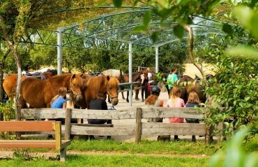 Reiter- und Erlebnisbauernhof Groß Briesen - Hotel-Außenansicht, Quelle: Reiter- und Erlebnisbauernhof Groß Briesen 