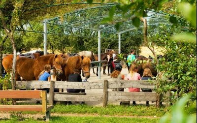 Reiter- und Erlebnisbauernhof Groß Briesen  - Hotel-Außenansicht