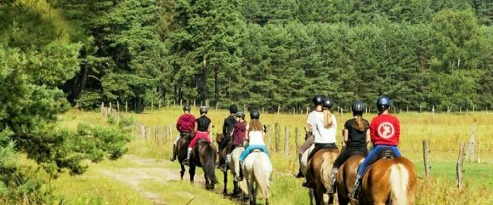 Reiter- und Erlebnisbauernhof Groß Briesen - Sonstiges