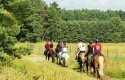 Reiter- und Erlebnisbauernhof Groß Briesen - Sonstiges Reiter- und Erlebnisbauernhof Groß Briesen - Sonstiges