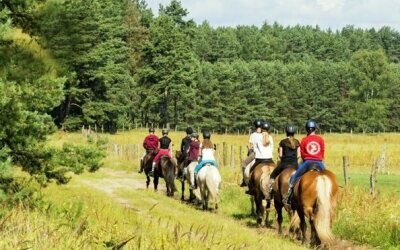 Reiter- und Erlebnisbauernhof Groß Briesen  - Sonstiges