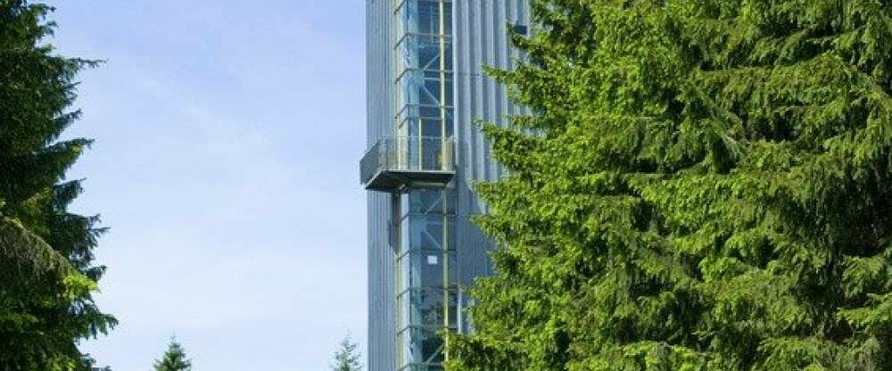 Rennsteigturm 10 min. vom Hotel entfernt