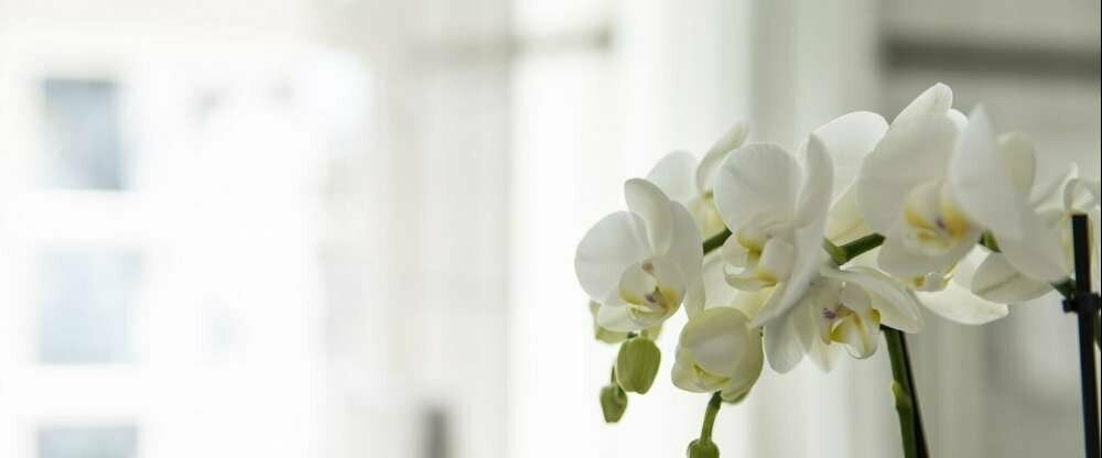 Restaurant-Hotel de Charme Römerhof - Badezimmer