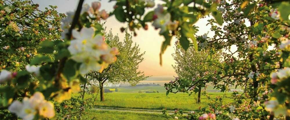 Restaurant-Hotel de Charme Römerhof - Umgebung