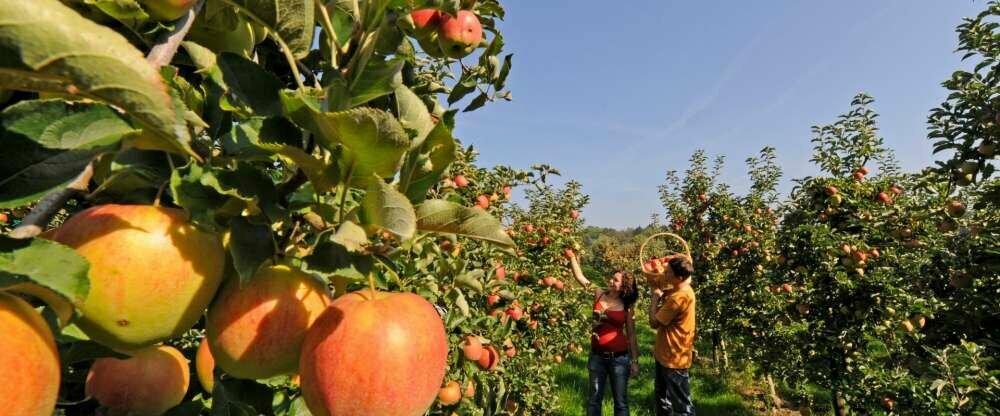Restaurant-Hotel de Charme Römerhof - Umgebung
